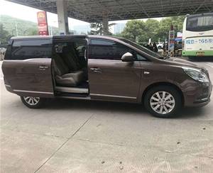 商務(wù)車（10)